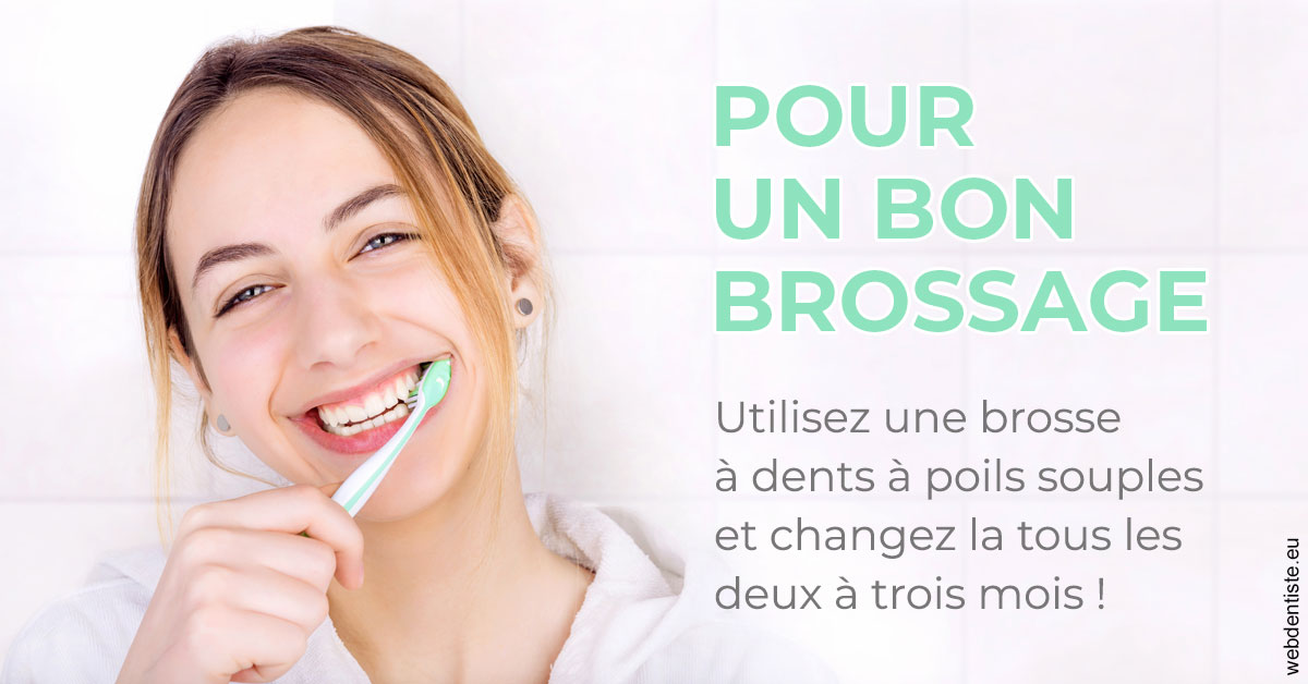 https://selarl-klejman.chirurgiens-dentistes.fr/Pour un bon brossage 2