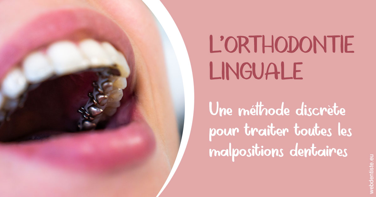 https://selarl-klejman.chirurgiens-dentistes.fr/L'orthodontie linguale 2