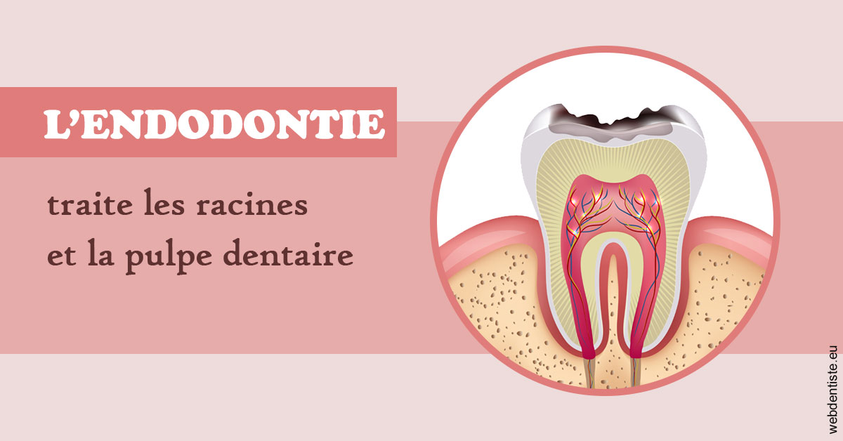 https://selarl-klejman.chirurgiens-dentistes.fr/L'endodontie 2
